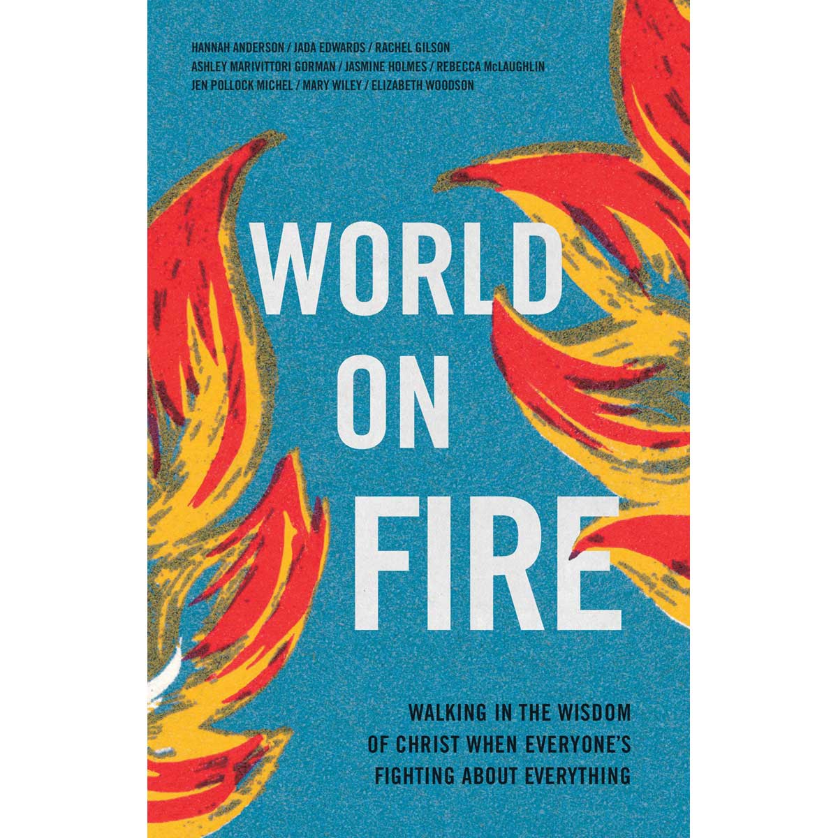 World On Fire: Walking In The Wisdom Of Christ When Everyone's Fighting About Everything (Paperback)