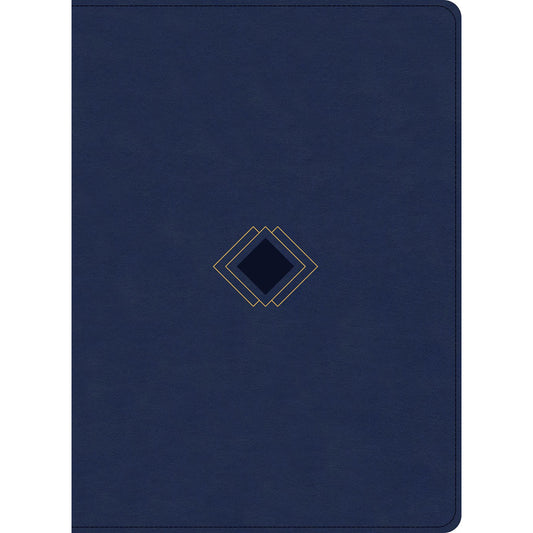 CSB Day-By-Day Chronological Bible Navy (Imitation Leather)
