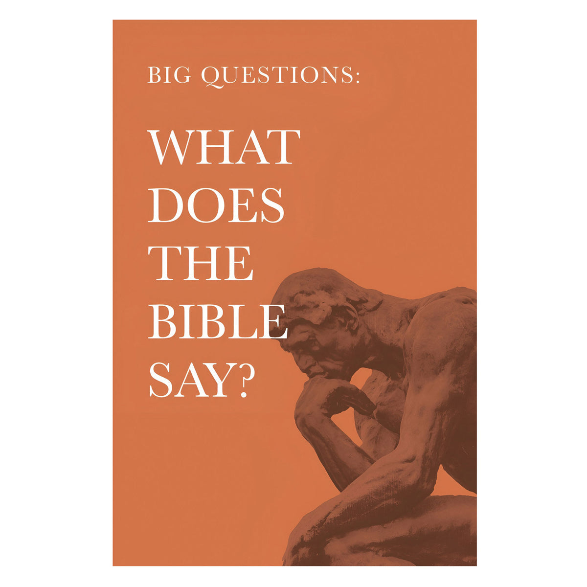 Big Questions: What Does the Bible Say? (Paperback)