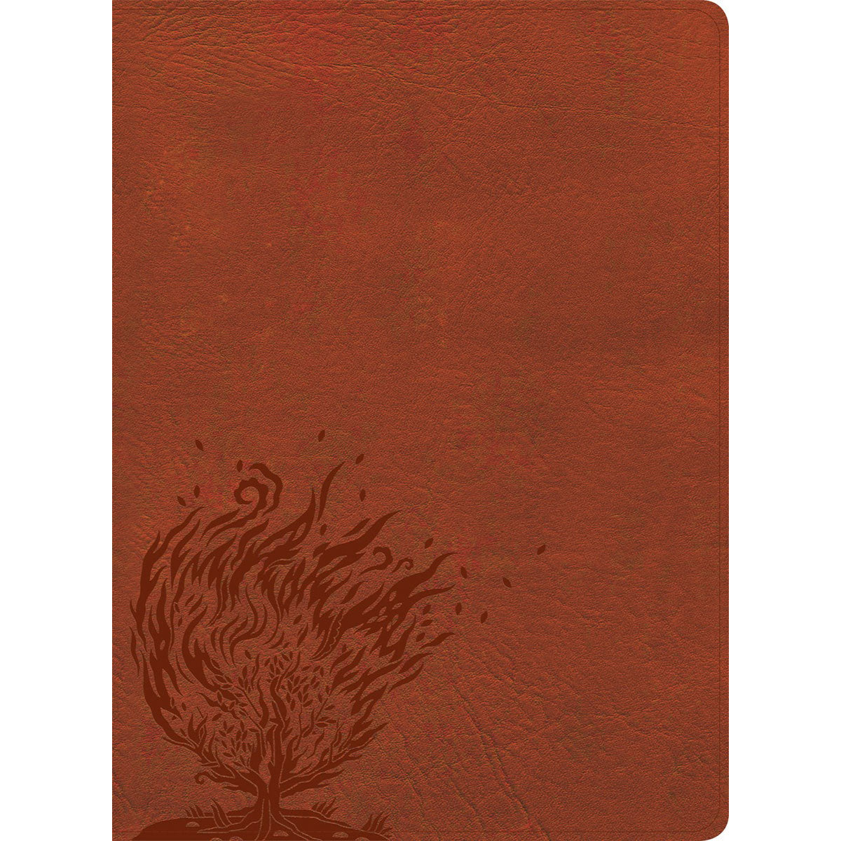 CSB Experiencing God Bible Indexed Burnt Sienna (Imitation Leather)