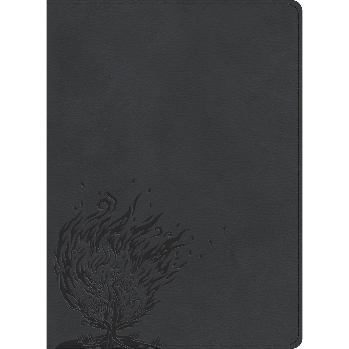 CSB Experiencing God Bible Indexed Charcoal (Imitation Leather)