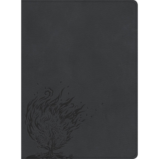 CSB Experiencing God Bible Indexed Charcoal (Imitation Leather)