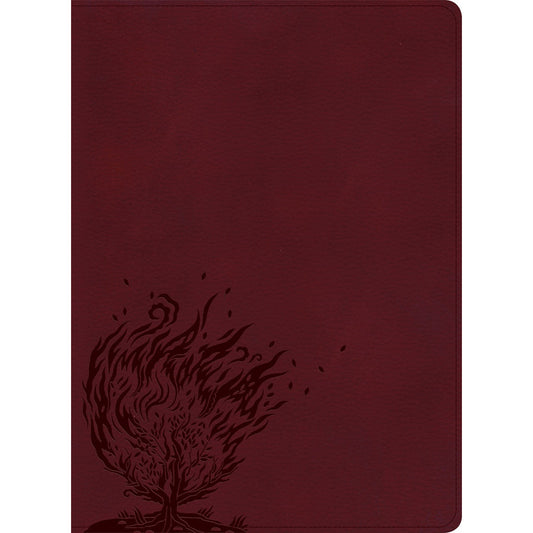 CSB Experiencing God Bible Burgundy (Imitation Leather)