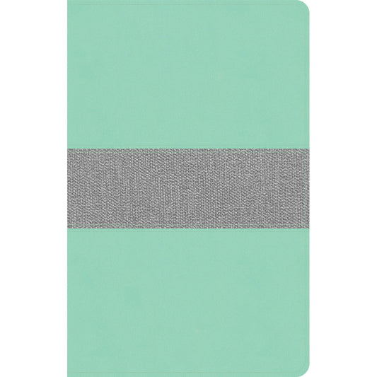 CSB Thinline Reference Bible Mint / Gray (Imitation Leather)