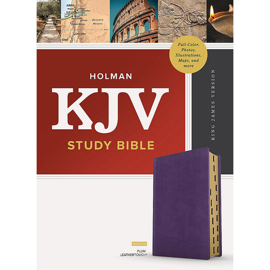 KJV Study Bible Full Colour Indexed Plum (Imitation Leather)