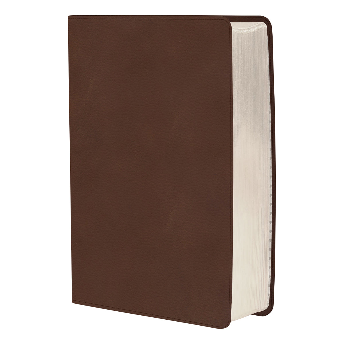CSB Rainbow Study Bible Brown (Imitation Leather)