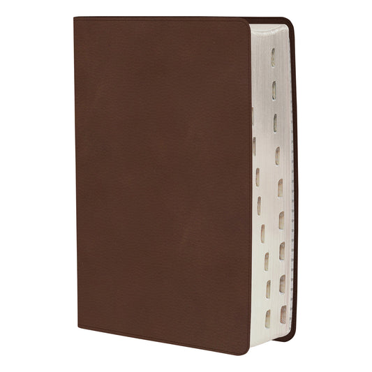 CSB Rainbow Study Bible Indexed Brown (Imitation Leather)