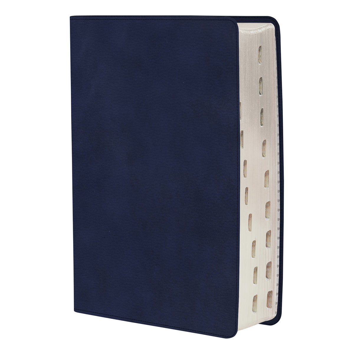 CSB Rainbow Study Bible Indexed Navy (Imitation Leather)