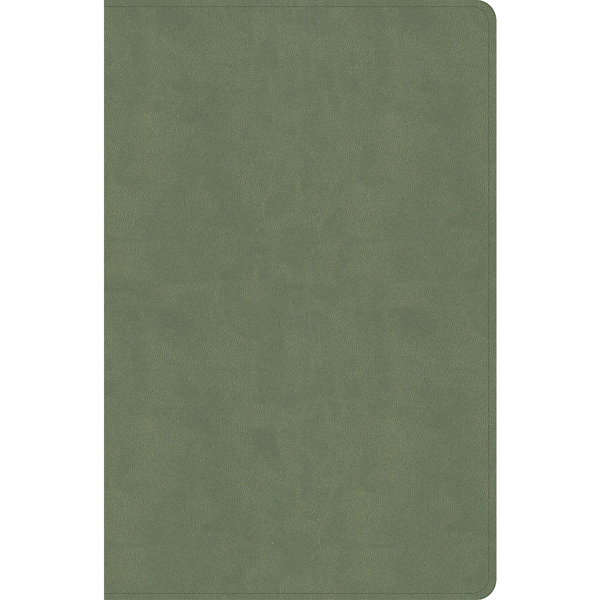 CSB Every Day With Jesus Daily Bible Sage (Imitation Leather)