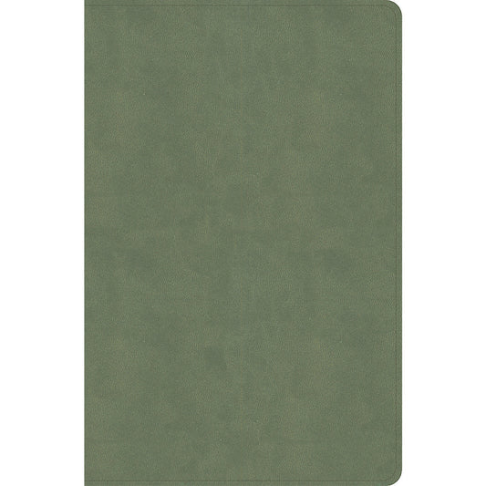 CSB Every Day With Jesus Daily Bible Sage (Imitation Leather)