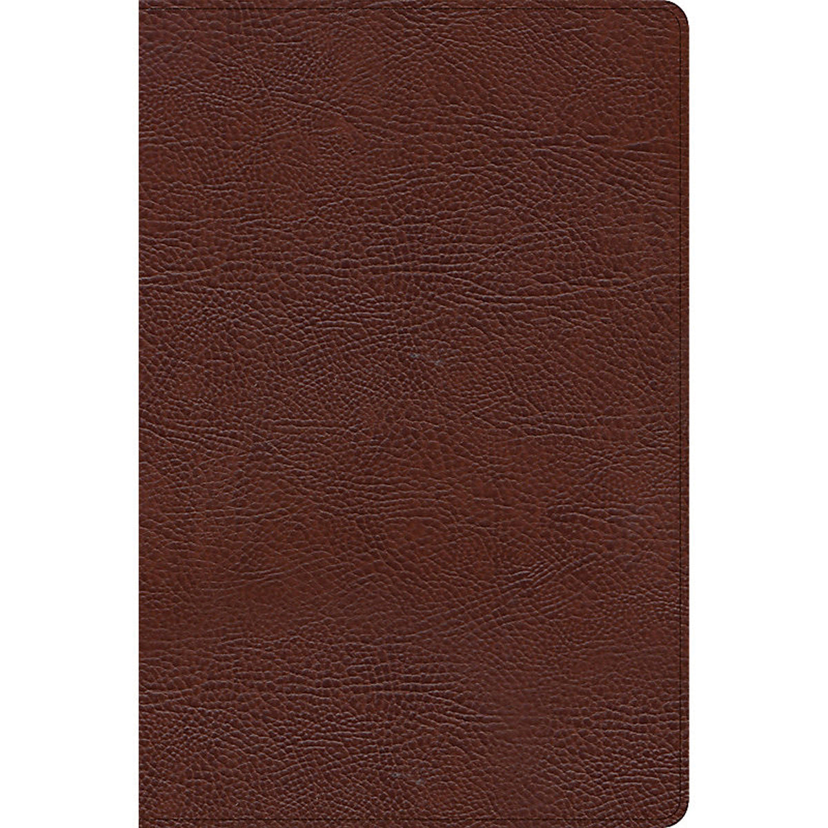CSB Thinline Bible Large Print Brown (Imitation Leather)
