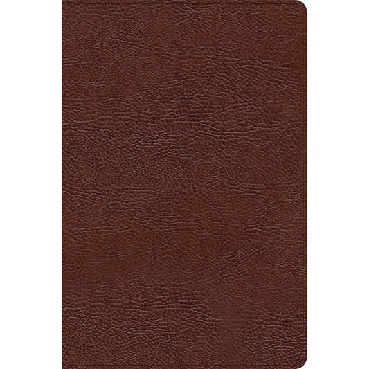 CSB Thinline Bible Large Print Indexed Brown (Imitation Leather)