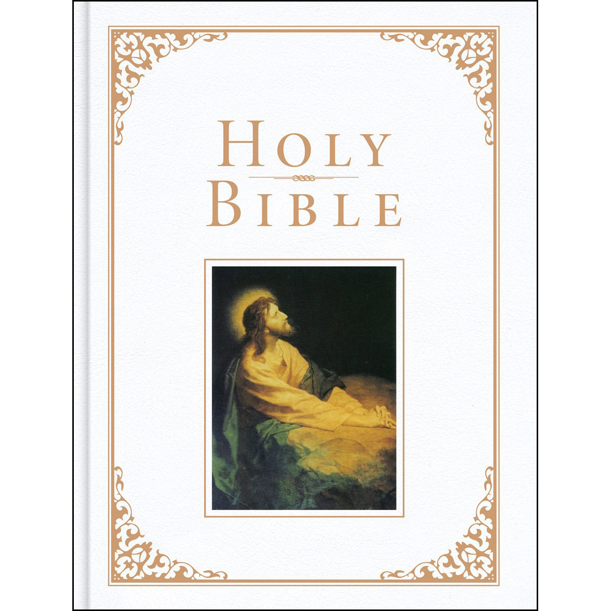 KJV Family Bible Deluxe White (Imitation Leather)