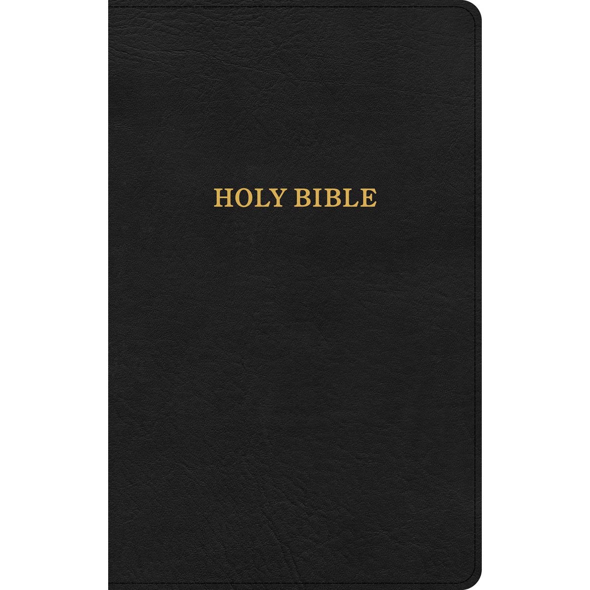 KJV Thinline Reference Bible Black (Imitation Leather)
