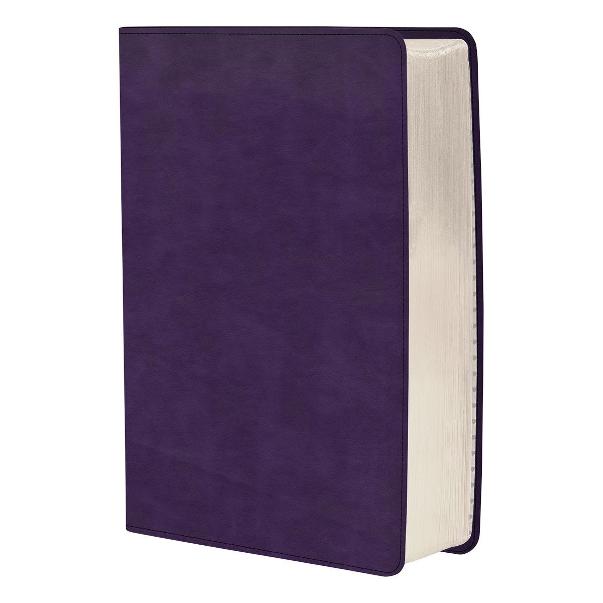 CSB Single Column Personal Size Bible Plum (Imitation Leather)