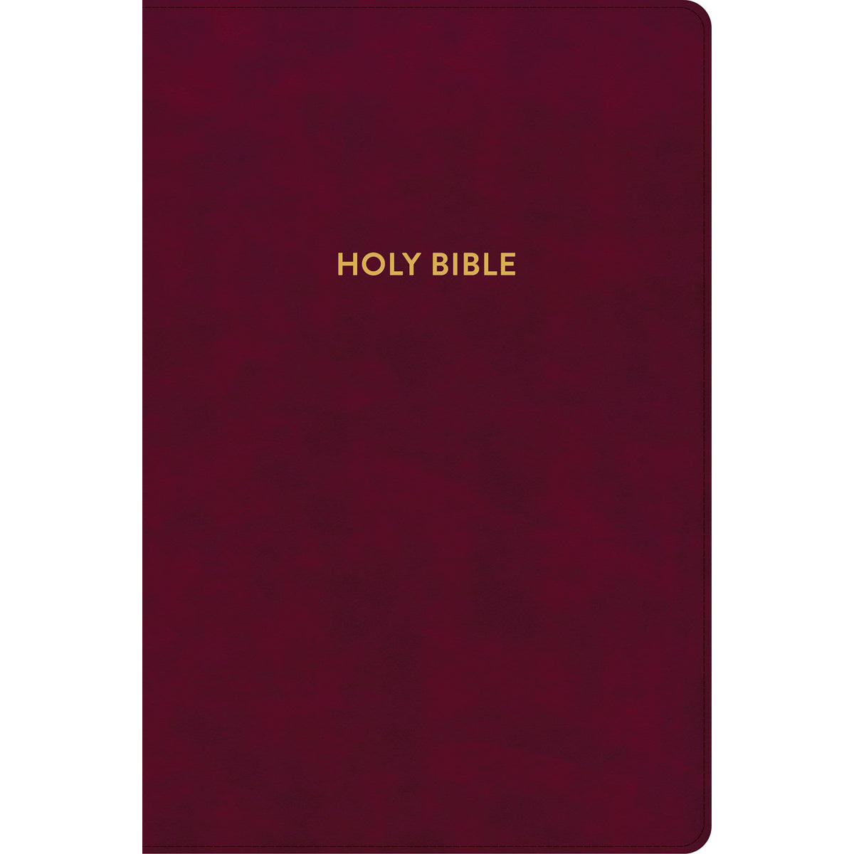 KJV Rainbow Study Bible Burgundy (Imitation Leather)