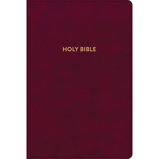 KJV Rainbow Study Bible Indexed Burgundy (Imitation Leather)