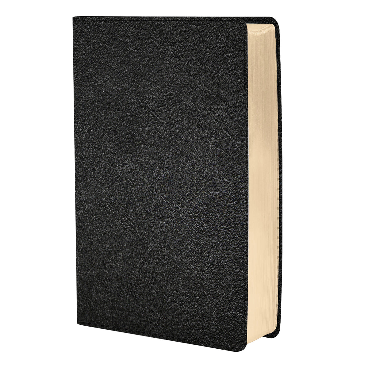 KJV Thinline Bible Large Print Black (Genuine Leather)