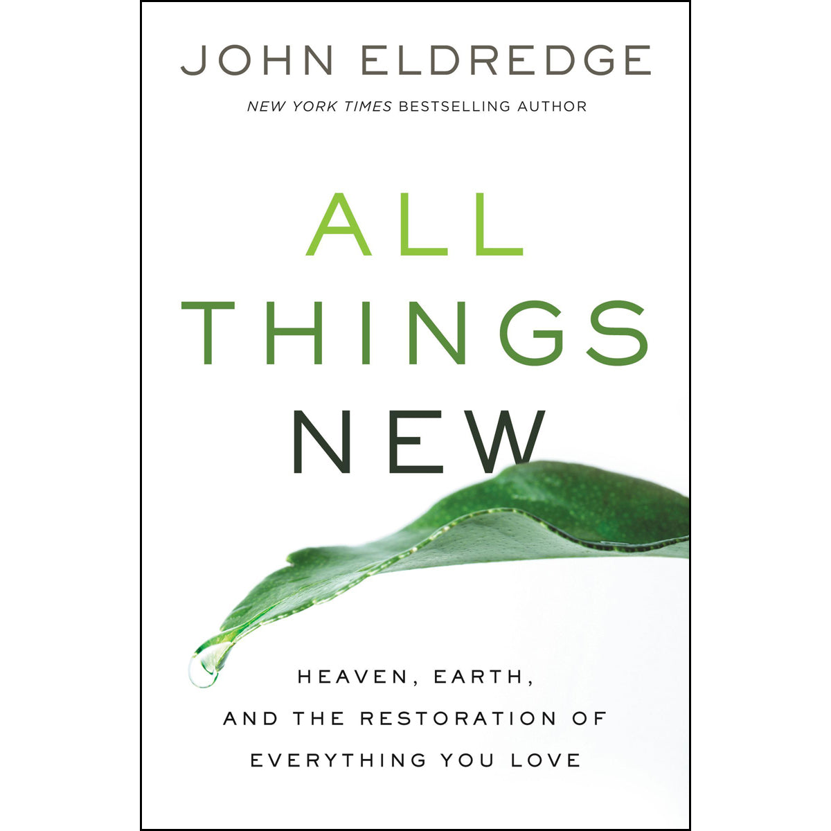 All Things New: Heaven Earth & The Restoration Of Everything You Love (Paperback)