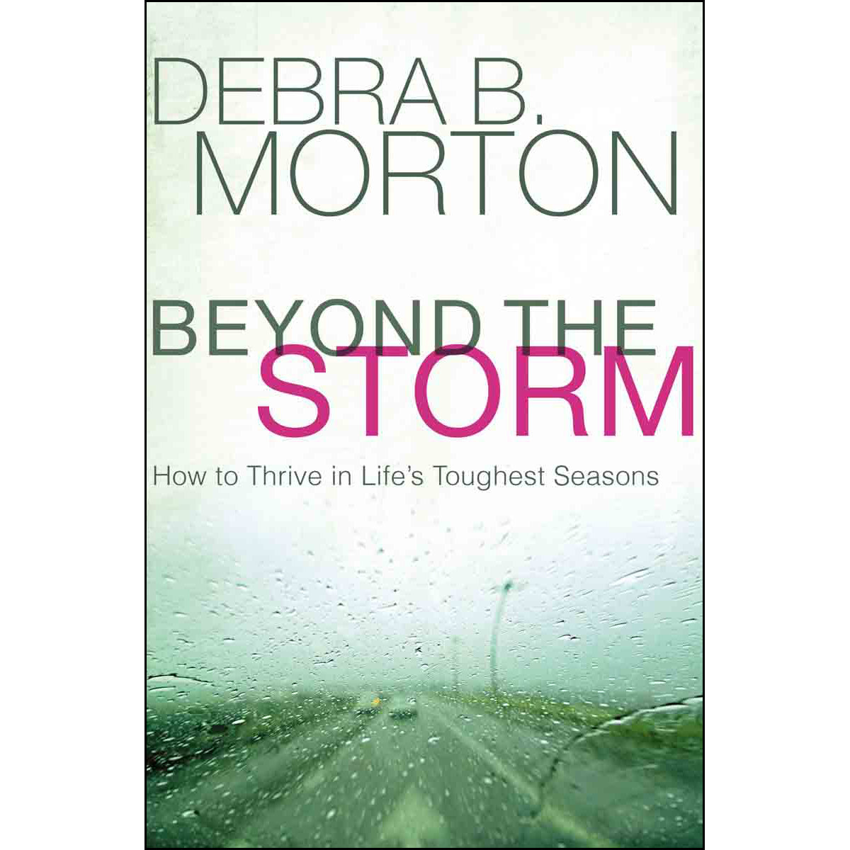 Beyond The Storm: How To Thrive In Lifes Toughest Seasons (Hardcover)