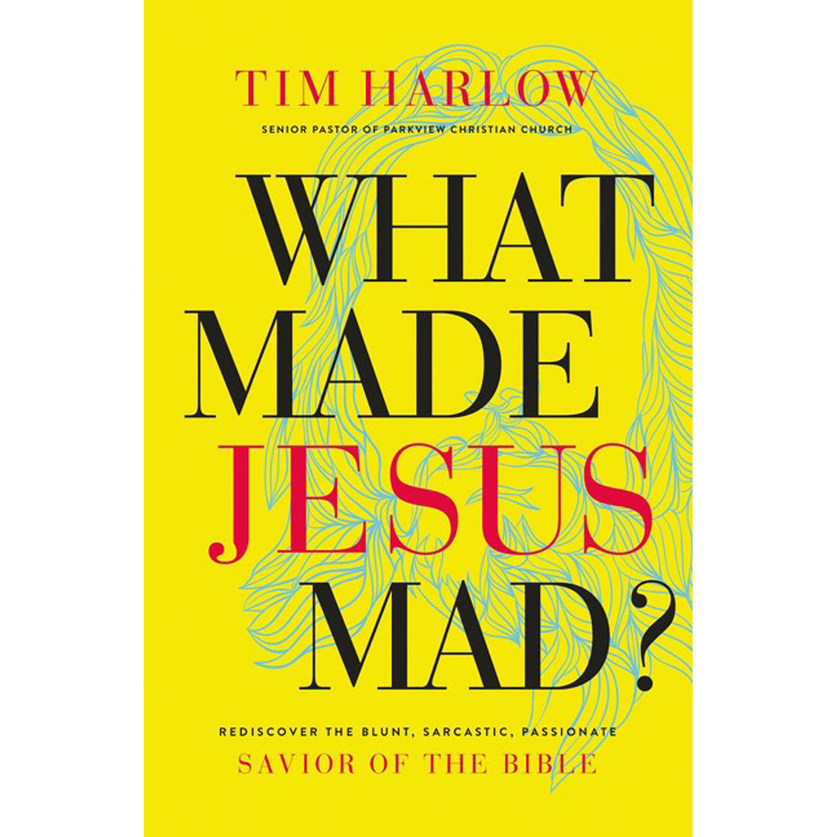 What Made Jesus Mad? (Hardcover)