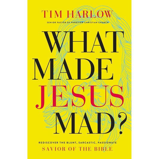 What Made Jesus Mad?: Rediscover The Blunt, Sarcastic, Passionate Savior Of The Bible (Paperback)