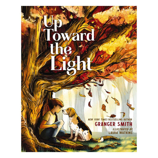 Up Toward the Light (Hardcover)