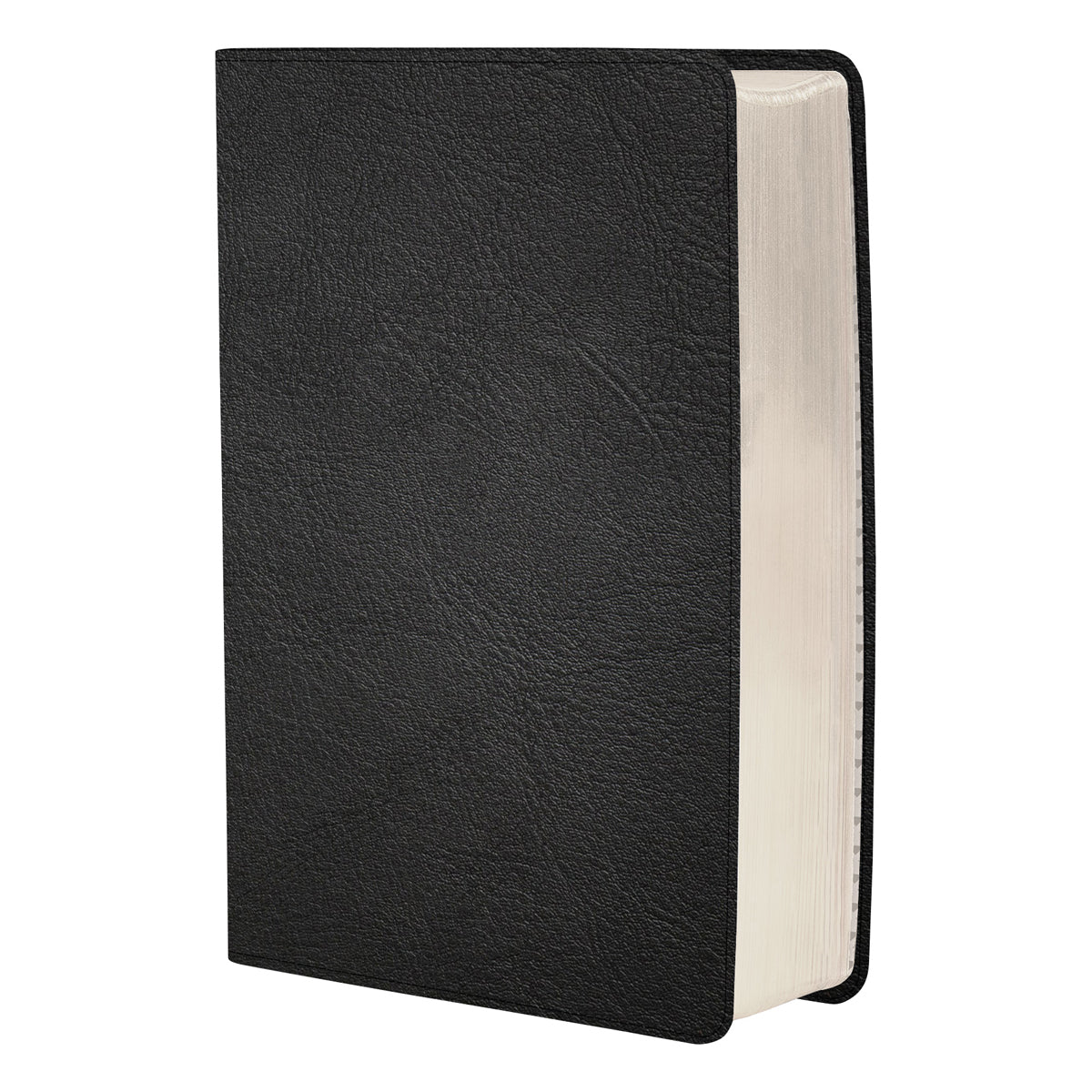 CSB Black Genuine Leather Personal Size Bible Giant Print