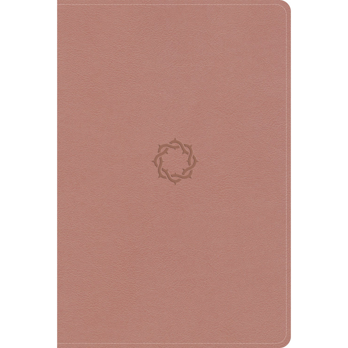 KJV Rose Gold Imitation Leather Essential Teen Study Bible Indexed