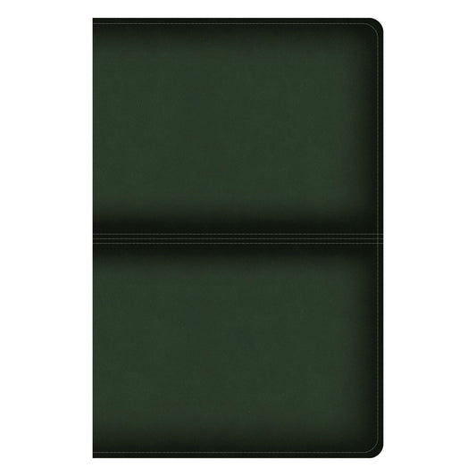 CSB Olive Imitation Leather Men's Daily Bible Indexed