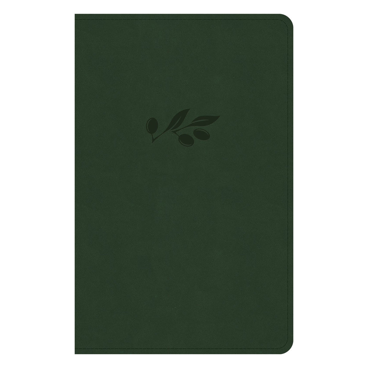 NASB Olive Imitation Leather Personal Size Bible