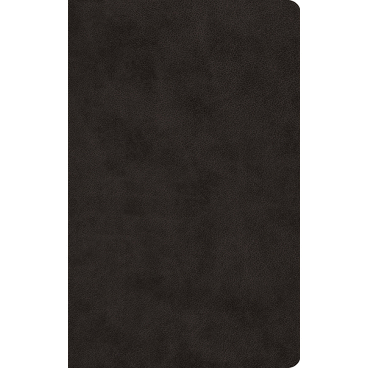 ESV Large Print Value Thinline Bible Black (Imitation Leather)