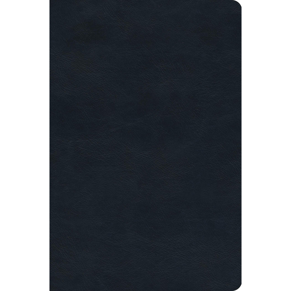 ESV Value Compact Bible Navy (Imitation Leather)