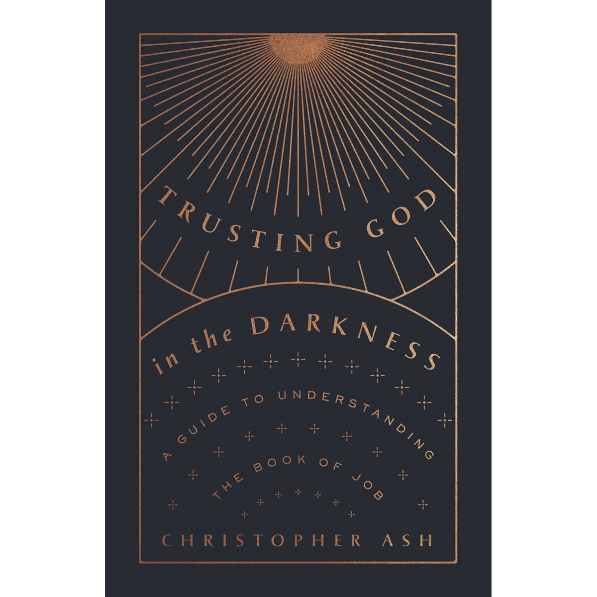 Trusting God In The Darkness: A Guide To Understanding The Book Of Job (Paperback)