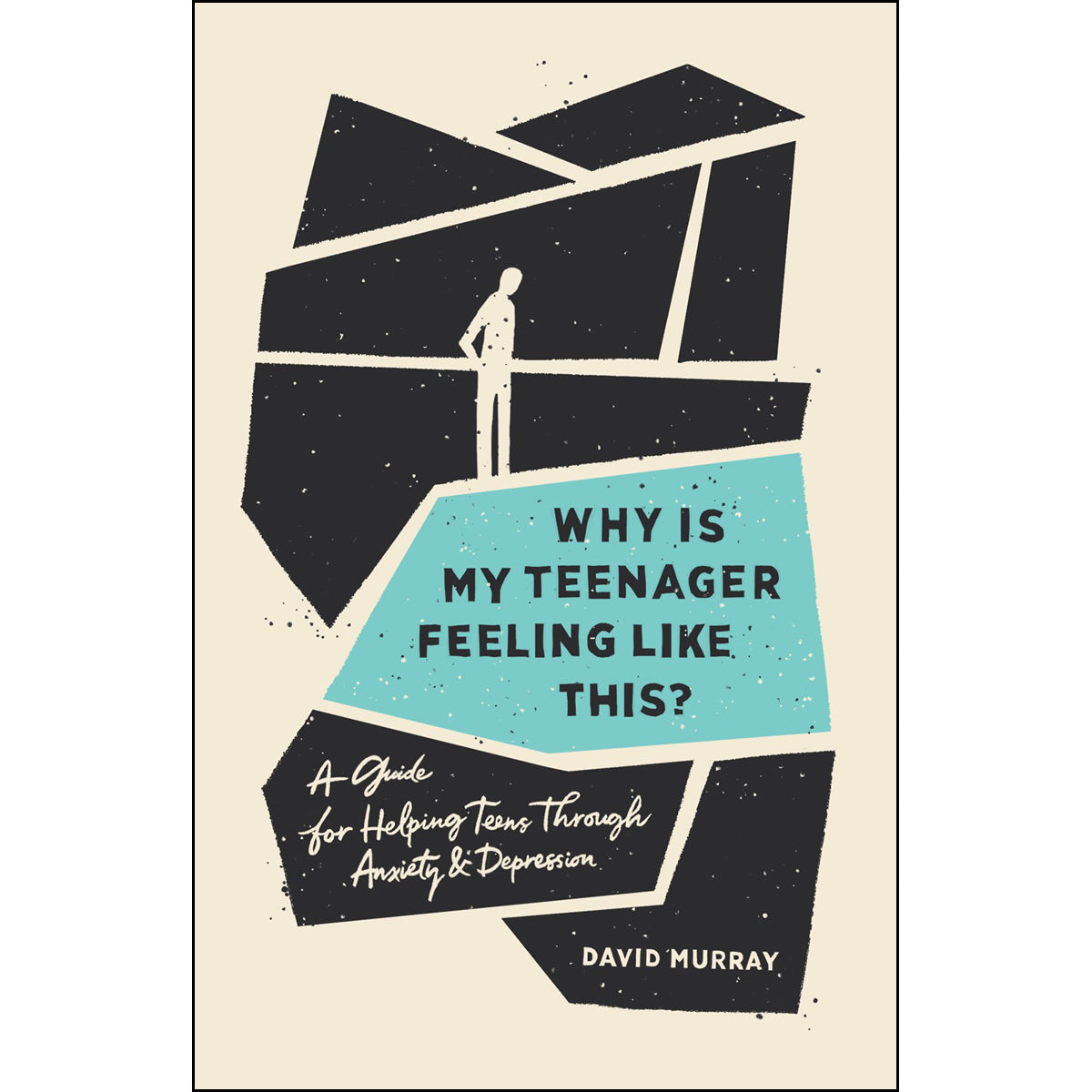 Why Is My Teenager Feeling Like This? (Paperback)