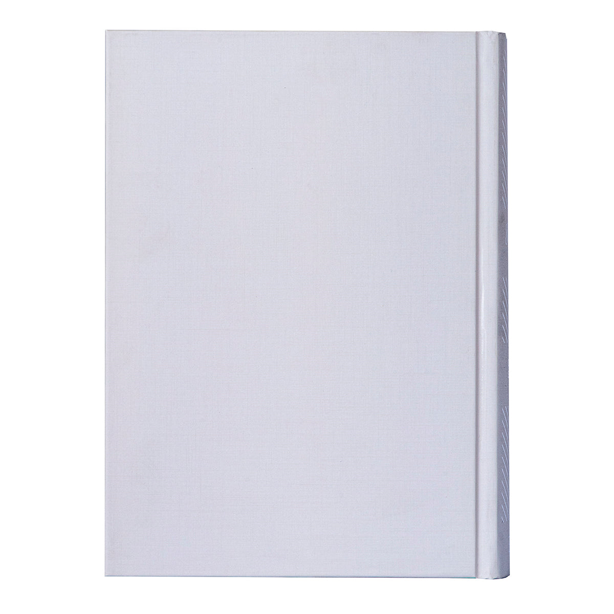 CSB She Reads Truth Bible Gray (Hardcover)