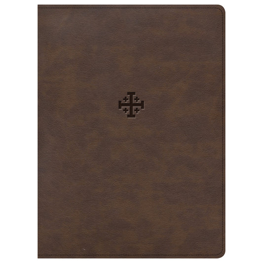CSB Life Connections Study Bible Brown (Imitation Leather)