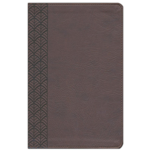 CSB Study Bible For Women Chocolate (Imitation Leather)