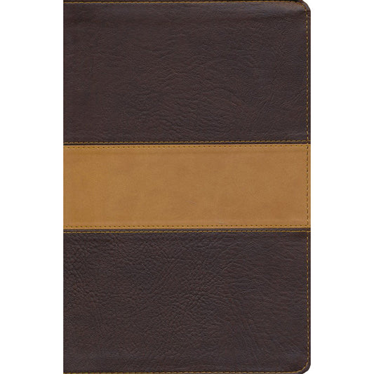 CSB Disciples Study Bible Brown Tan (Imitation Leather)