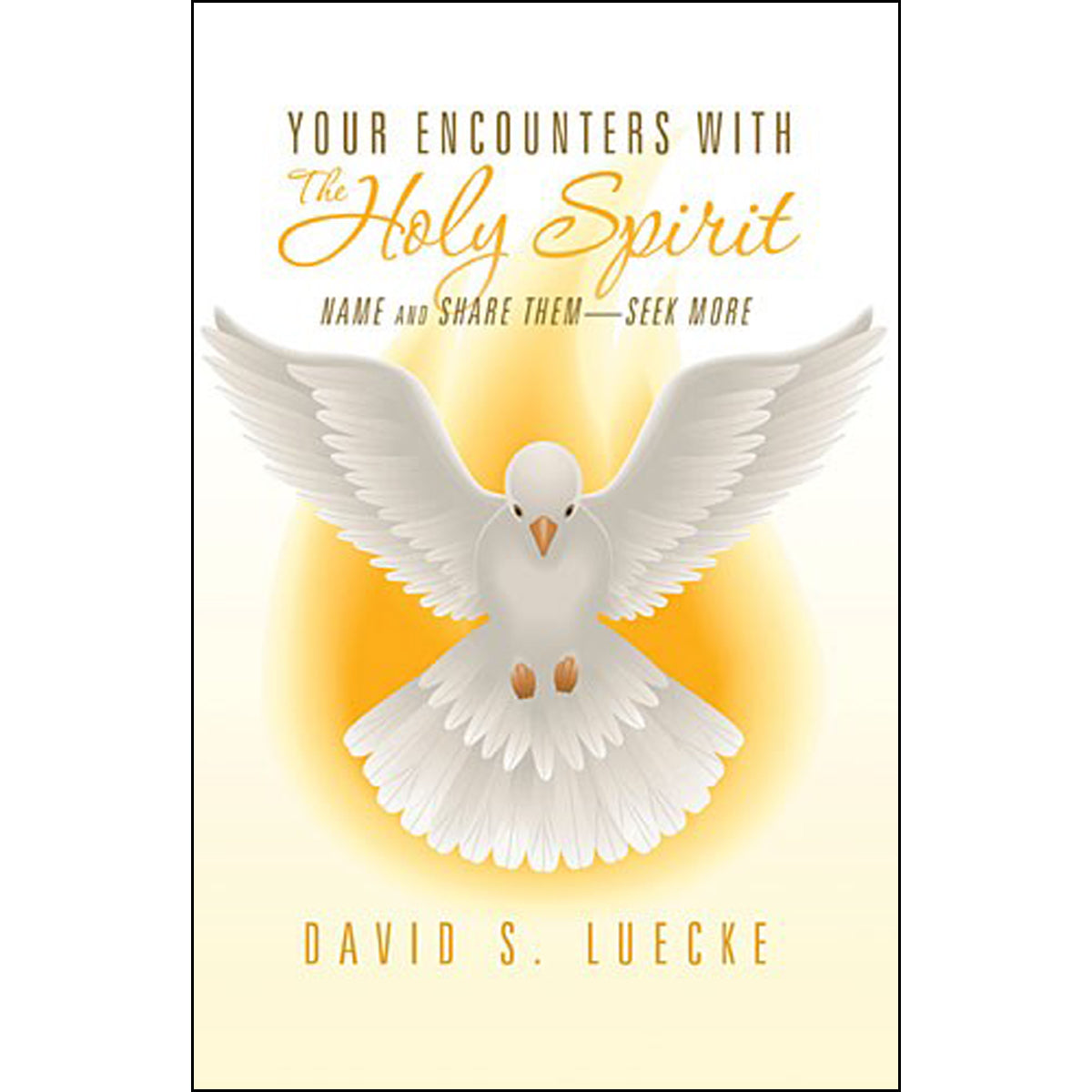 Your Encounters With The Holy Spirit (Paperback)