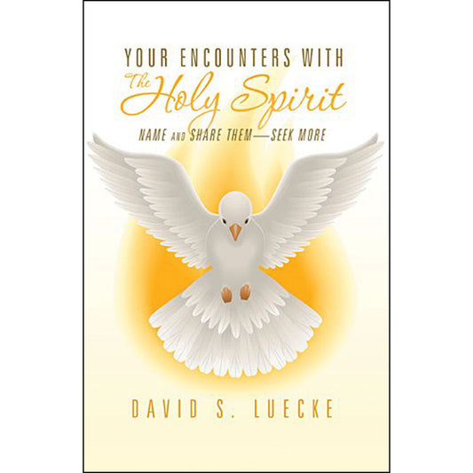 Your Encounters With The Holy Spirit (Paperback)