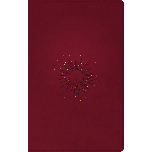 NLT Filament Thinline Reference Bible Red Letter Aurora Cranberry (Imitation Leather)