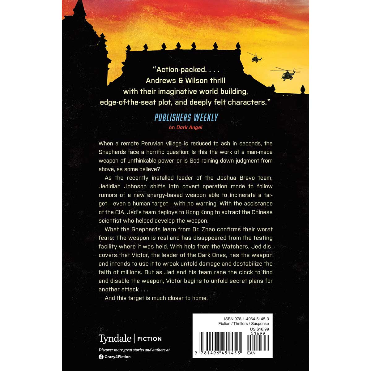 Dark Fall (3 The Shepherds Series)(Paperback)