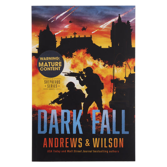 Dark Fall (3 The Shepherds Series)(Paperback)