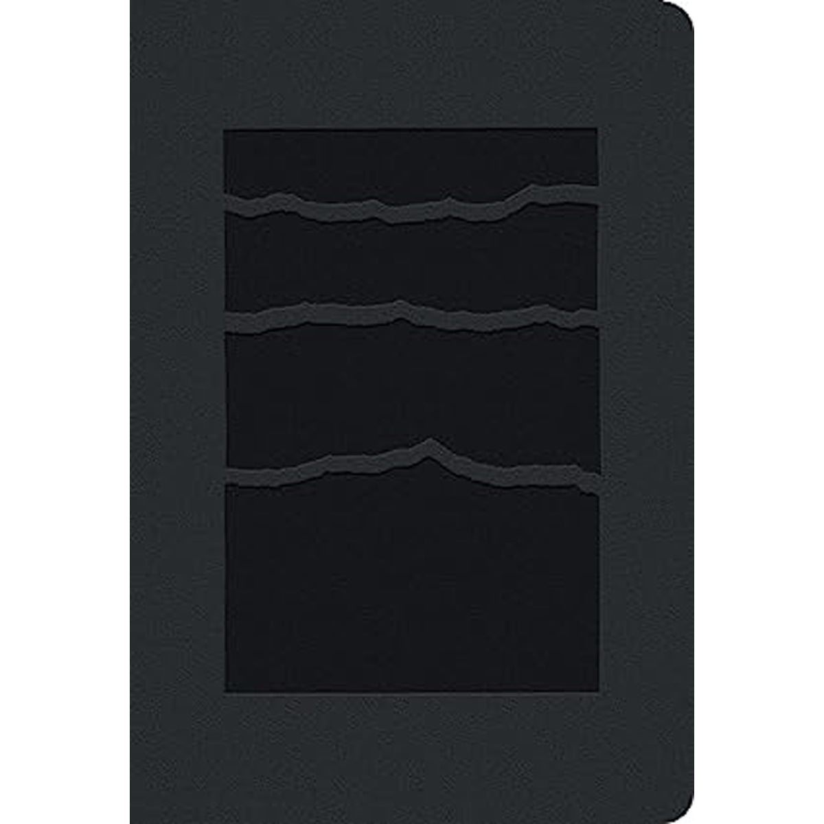 NLT Black Mountainscape Imitation Leather Premium Value Filament Compact Bible