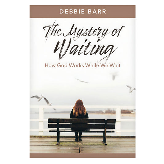 The Mystery of Waiting: How God Works While We Wait - Hope and Healing (Paperback)