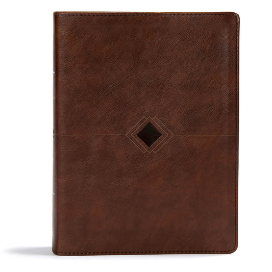 CSB Day By Day Chronological Bible Brown (Imitation Leather)