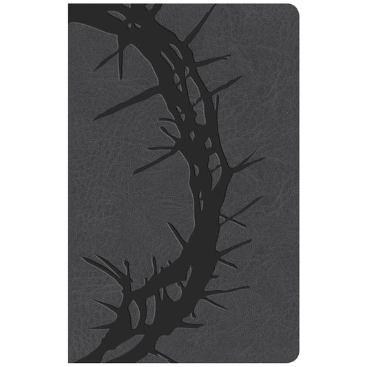 KJV Personal Size Reference Bible Large Print Indexed Charcoal (Imitation Leather)