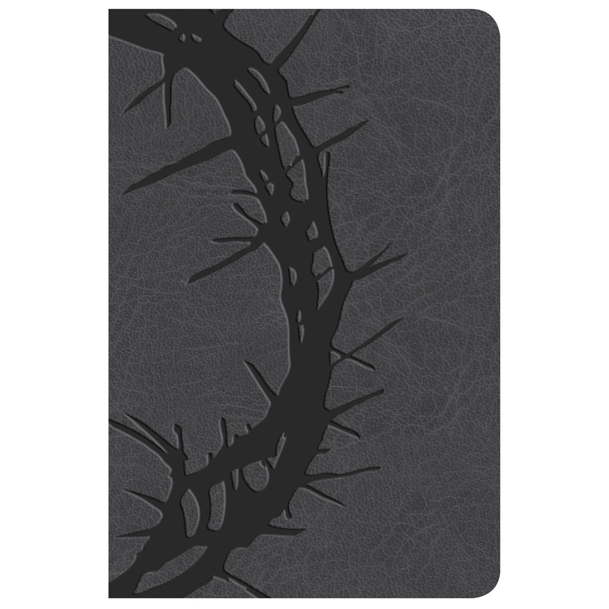 KJV Compact Reference Bible Large Print Charcoal (Imitation Leather)