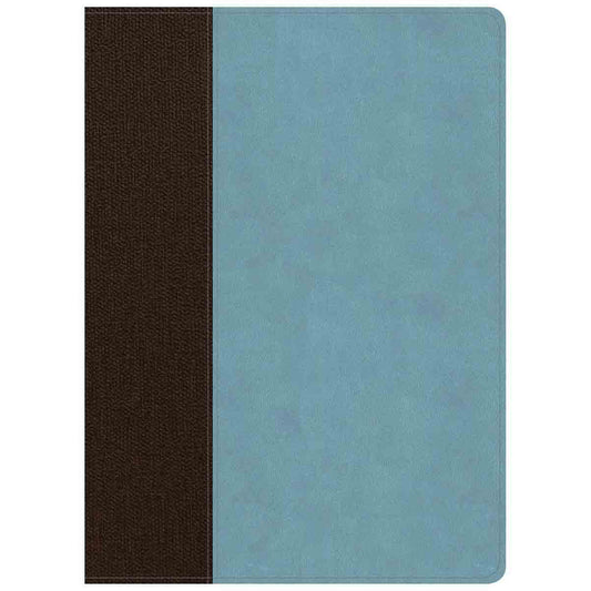 CSB Life Essentials Study Bible Indexed Brown / Sky (Imitation Leather)